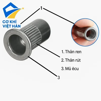 Cấu tạo êcu rút inox 304 M4 gồm phần mũ, thân rút và thân ren