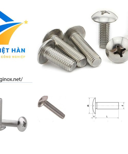 VÍT PAKE ĐẦU DÙ THÂN BU LÔNG DIN IFII-27