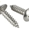 vít gỗ đầu dù inox, vít inox din 7984C, vít bắt gỗ inox, vít inox đầu dù, vít gỗ inox 304, vít gỗ inox 316, vít inox nội thất gỗ, vít inox ngành mộc, vít inox chất lượng cao, báo giá vít gỗ inox