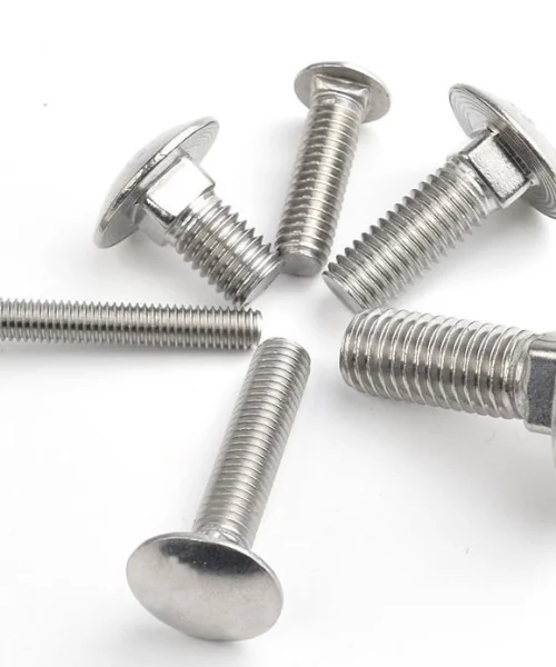 Bu lông mũ tròn cổ vuông chống xoay inox 304